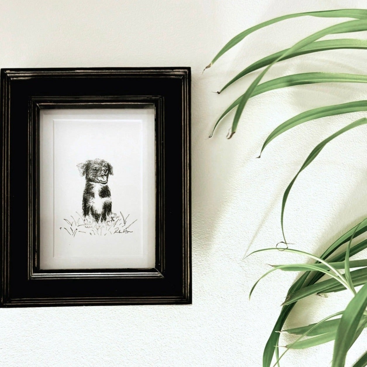 (baby z) framed creation