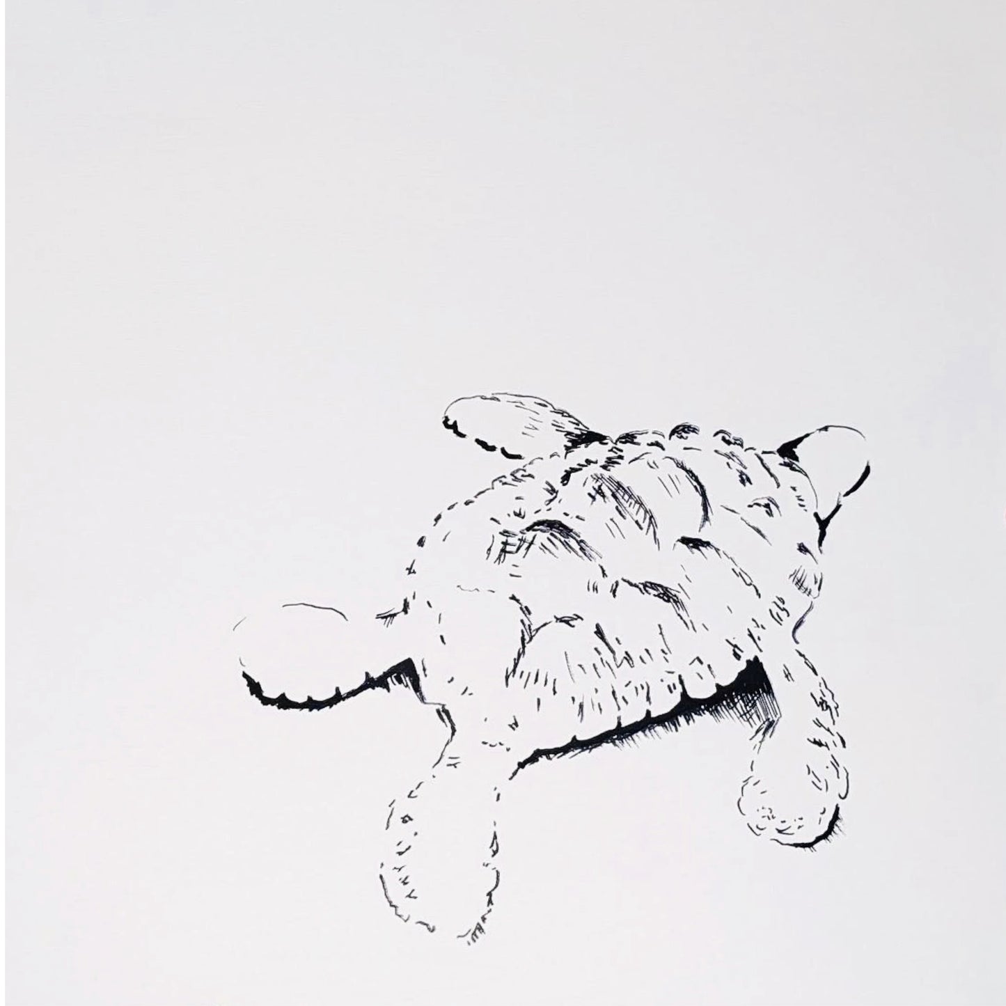 (turtle on white) acrylic painting